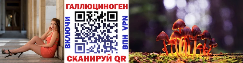 OMG как зайти  Красноармейск  Псилоцибиновые грибы ЛСД 