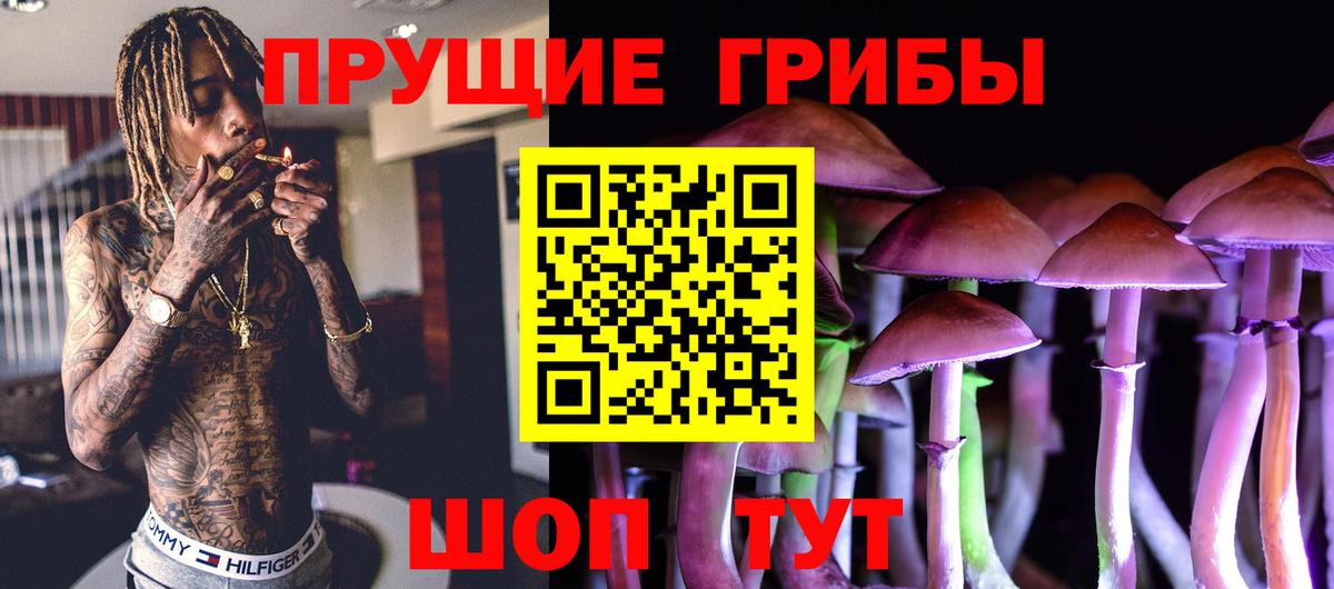 Красноармейск  Псилоцибиновые грибы прущие грибы  Псилоцибиновые грибы Cubensis  Вход с VPN 